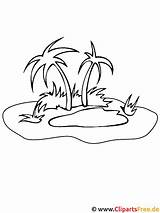 Insel Malvorlage Palmen Ausmalen Piraten Malvorlagenkostenlos Designlooter Seas Titel sketch template