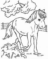 Kleurplaten Paarden Tegninger Heste Horses Cheval Animaux Bibi Caballos Paard Dieren Mooiste 2212 Hest Coloriage Terborg600 Tjent Sparet Veulens Uitprinten sketch template