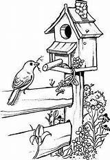 Birdhouse Pyrography Stamps Sketches Colouring Birds sketch template