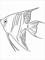 Coloring Angelfish Pages Fish Queen Print Coloringbay Recommended sketch template