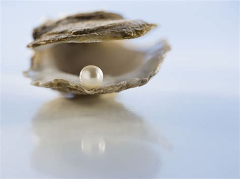 natural pearls  cultured pearls     laguna pearl