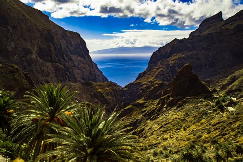 tenerife points  interest  excursions  daily offers discounts