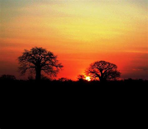 por  sol em tete mocambique africa film photography tips celestial sunset outdoor sun