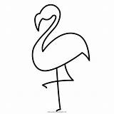 Ausmalbild Flamenco Fenicottero Flamingos Beak Favpng Ultracoloringpages sketch template