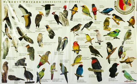 species list part  audubon