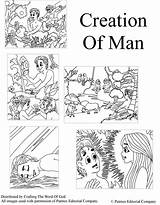 Coloring Creation Pages Para Colorear La Creacion Hombre Adam Del Eve Bible Man Creación Printable Dibujos Biblia Niños Manualidades School sketch template
