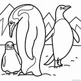 Animal Penguins Coloring4free Penguin sketch template