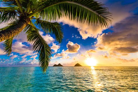 あのハワイの景色に出会いたい 2 オアフ島ワイキキビーチ1穏やかな風を感じたい