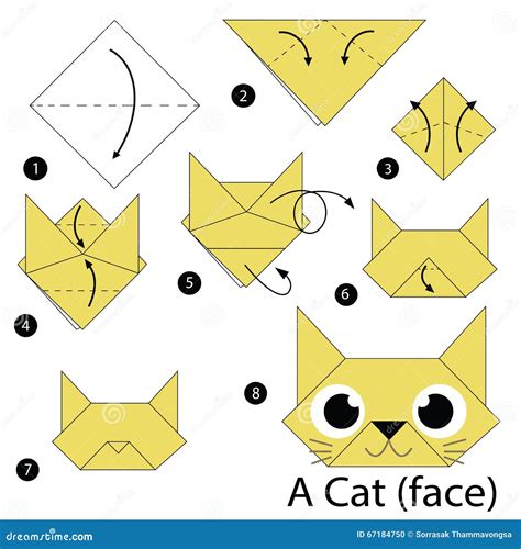 step  step instructions    origami  cat stock vector image