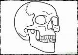 Coloring Pages Skeleton Head Getdrawings Getcolorings sketch template
