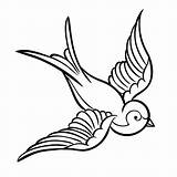 Sparrow Sketch Swallow School Stencils Clipartmag sketch template