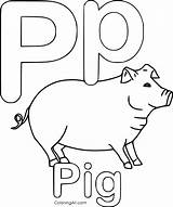 Coloringall Device Automatically Pigs sketch template