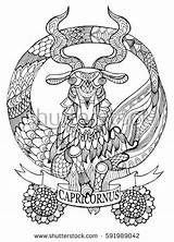 Capricorn Coloring Astrology Zodiac Tattoo Designlooter Stencil Lines Illustration Vector Sign Book sketch template