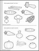 Coloring Pages Vegetable Worksheets Vegetables Kindergarten Preschool Fruits Kids Printable Color Tracing Activities Grade Lkg School Pdf Easy Print Worksheet sketch template