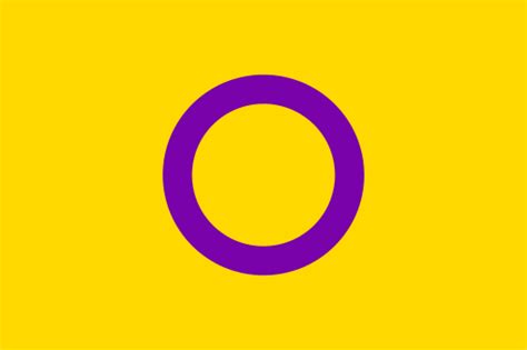 Intersex Pride Professional Quality Flag – Mrflag