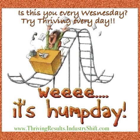 Happy Hump Day Hump Day Images Hump Day Wednesday Humor