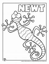 Newt Coloring Kids Pages Letter Printable Worksheets Template Crafts Coloringbay Printables sketch template
