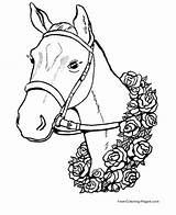 Coloring Horse Pages Sheets sketch template