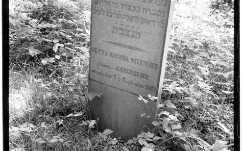 kolonien weldadigheid krijgen  euro voor opknappen joodse begraafplaats voor fietsroute