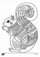 Colouring Mindfulness Animal Coloring Pages Squirrel Autumn Printable Mandala Kids Sheets Twinkl Choose Board sketch template