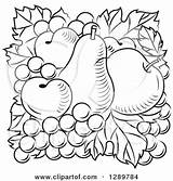 Coloring Pear Apricots Apple Blossom Vector Grapes Clipart Apricot Illustration Royalty Tradition Sm 470px 86kb sketch template