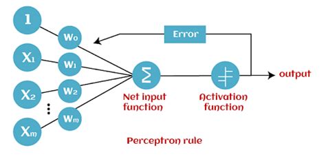 perceptron  beginners guide updated simplilearn