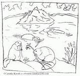 Beaver Biber Tiere Malvorlagen Teich Kleurplaten Protects Bevers Beavers Malvorlagenwelt Freecoloringpages sketch template