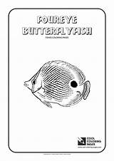 Butterflyfish sketch template