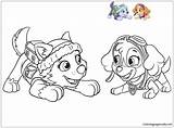 Paw Patrol Coloring Patrouille Pat Pages Coloriage Color Sheets Sur Imprimer Rocky Colorier Everest Chase Print Marshall Dessin Coloringpagesonly sketch template