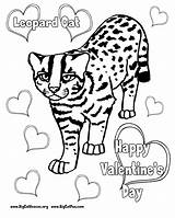 Coloring Leopard Pages Cat Baby Snow Print Color Valentines Kids Printable Library Clipart Getcolorings Domestic Haired Short Coloringhome Crocodile Popular sketch template