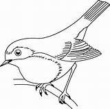 Moineau Oiseaux Hummingbird Quilling Kohlmeise Coloriages Turbulus W12 sketch template