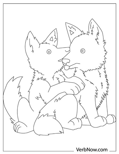 wolf coloring pages   printable  verbnow