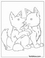 Wolves Wolf Verbnow sketch template