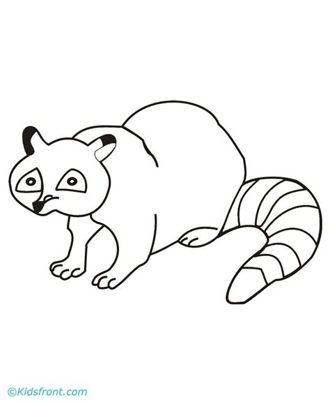 baby raccoon coloring pages coloring home