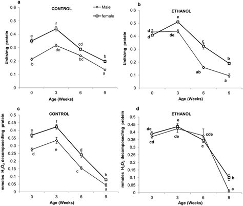 Sex Difference In The Activity Of Antioxidant Enzymes At Different Ages