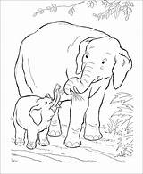 Coloring Elephant Pages Animals Baby Wild African Kids Animal Printable Mom Mother Print Drawing Sheets Colouring Elephants Zoo Printables Activity sketch template