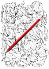 Botanicum sketch template