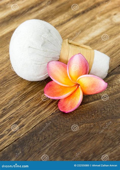 herb spa concept stock photo image  beauty aromatic