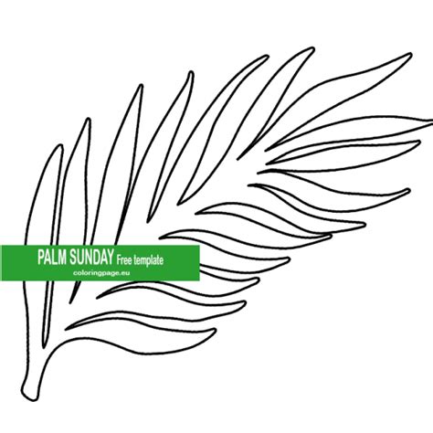 palm branch template palm sunday coloring page