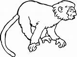 Monkeys Coloring Pages Printable Via sketch template