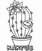Kaktus Kolorowanki Kolorowanka Doniczce Kwiaty Druku Kwiat Topcoloringpages Wydruku Tulipan Lobivia Coloringfolder Wydrukuj Kolorowankę sketch template