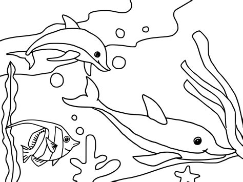 dolphins swims   sea coloring page  printable coloring pages