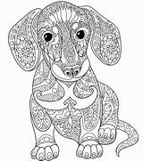 Mandala Mandalas Hunde Coloriage Dackel Welpen Erwachsene Puppy Verob Dachshund Ausmalbilder Köpek Malbücher Yavru Boyama Sevimli Yavruları Köpekler Oya Elişleri sketch template