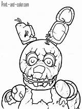 Coloring Fnaf Pages Five Chica Printable Getdrawings sketch template