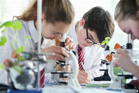 high school students conducting scientific experiment  microscopes