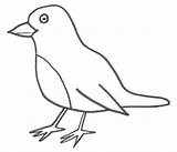 Robin Coloring Bigactivities Birds sketch template