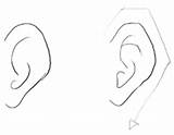 Ears Draw Drawing Easy Cartoon Ear Step Illustrated Simple Steps Drawings Emphasized Shape Character Realistic Styled Based Choose Board sketch template
