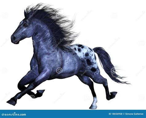 wild horse stock illustration illustration  magic