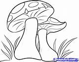 Mushroom Drawing Mushrooms Cartoon Coloring Draw Pages Step Drawings Fungi Simple Para Magic Dibujos Google Alice Color Wonderland Pencil Kids sketch template