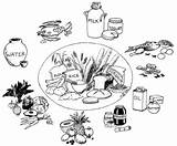 Foods Grow Go Examples Glow Drawing Milk Flour Healthy Kinds Rice Stay Eat Listed Including Below Collection Pluspng Many Body sketch template